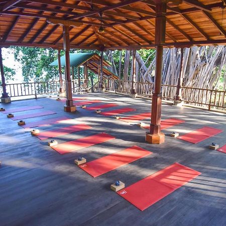 تشينانديغا Amaru Wellbeing Resort المظهر الخارجي الصورة